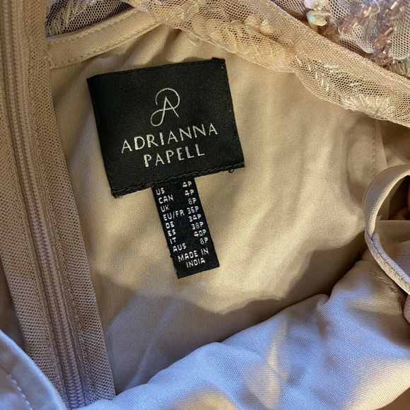 NEW Adrianna Papell Blush Pink Floral Beaded Mesh Illusion Blouson Gown  Size 4P - Picture 9 of 9